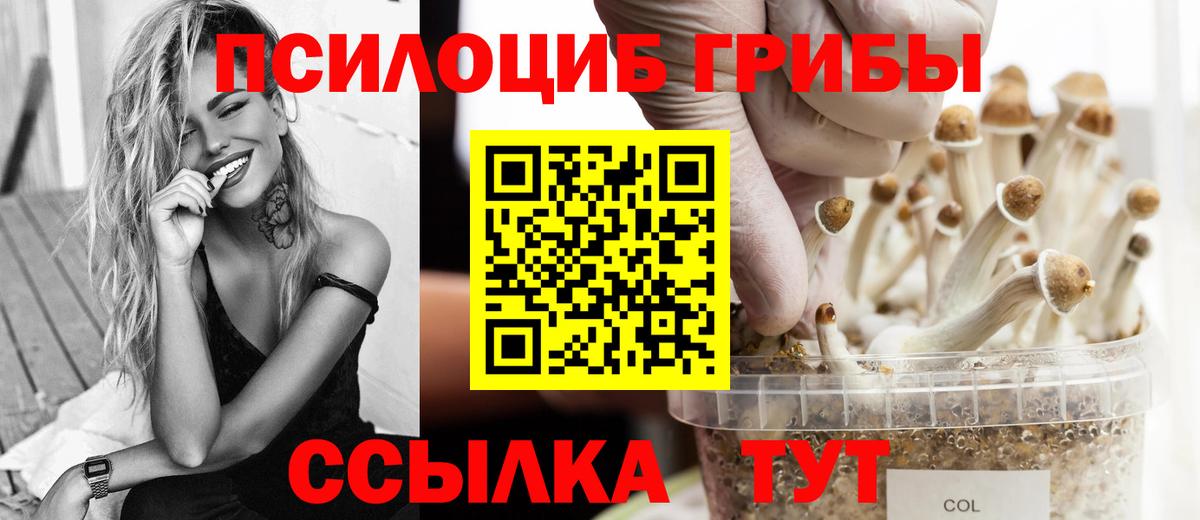 Боровичи  Галлюциногенные грибы мухоморы  Вход с VPN 
